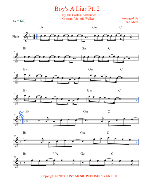 Boy's A Liar Pt. 2 (Arr. Rene Alves) - Pinkpantheress & Ice Spice (Flute Solo)