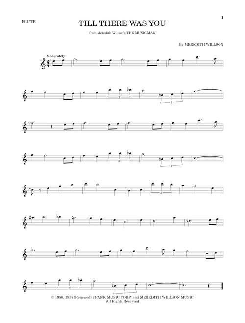 Till There Was You - The Beatles (Flute Solo)