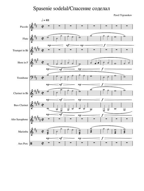 Spasenie sodelal – Pavel Chesnokov