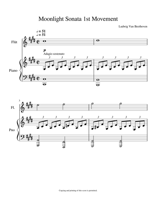 Ludwig Van Beethoven - Moonlight Sonata (Piano & Flute)
