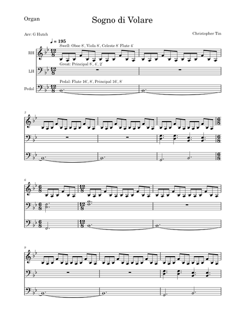 Sogno di Volare—Organ Cover