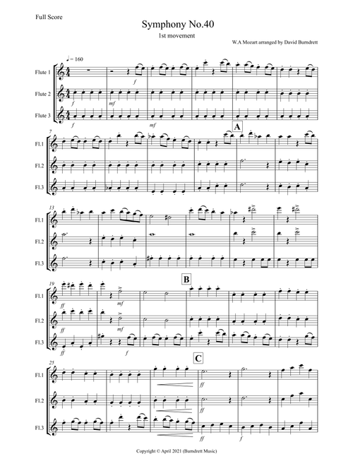 Symphony No.40 (1st movement) for Flute Trio (Arr. David Burndrett) - W.A Mozart (Flute Solo)