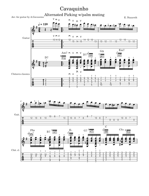 Cavaquinho - Guitar
