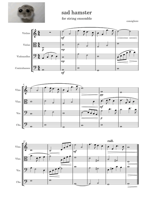Sad hamster – Unknown author Sad Hamster – For string ensemble