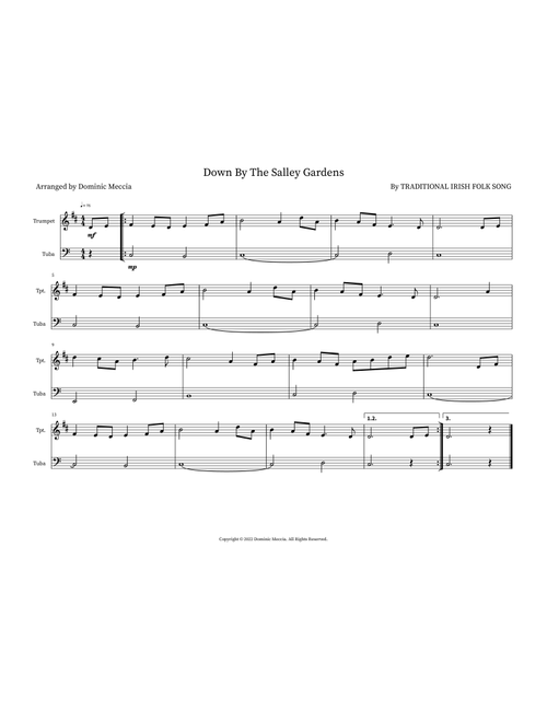 Down By The Salley Gardens (Arr. Dominic Meccia) - Traditional Irish Folk Song (Instrumental Duet)