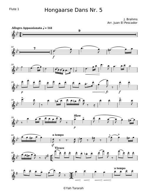 Hungarian Dance No. 5 - Johannes Brahms