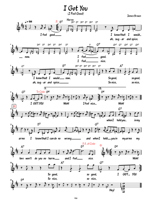 I Got You (I Feel Good) (Lead sheet with lyrics )