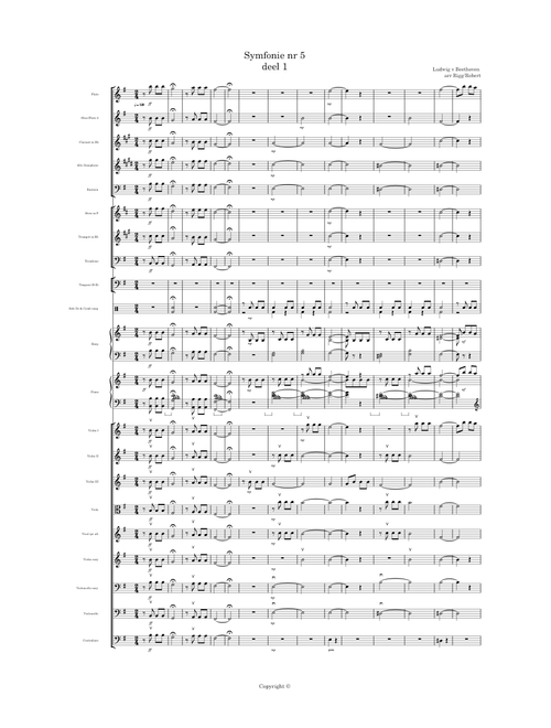 Symfonie No 5 1st Mov (abridged) – Ludwig Van Beethoven