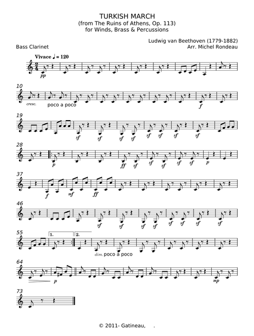 Turkish march - Ludwig van Beethoven