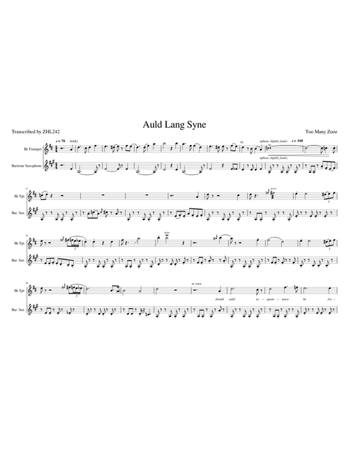 Too Many Zooz - Auld Lang Syne