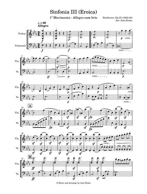 Symphony No.3, Op.55 - I. Allegro con brio (Arr. Joás Erate) - Ludwig Van Beethoven (Instrumental Duet)