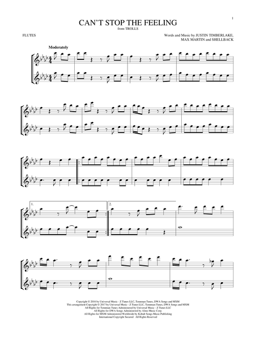 Can't Stop The Feeling - Justin Timberlake (Flute Duet)