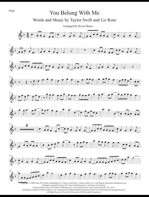 You Belong With Me (Arr. Kevin Busse) - Taylor Swift (Flute Solo)