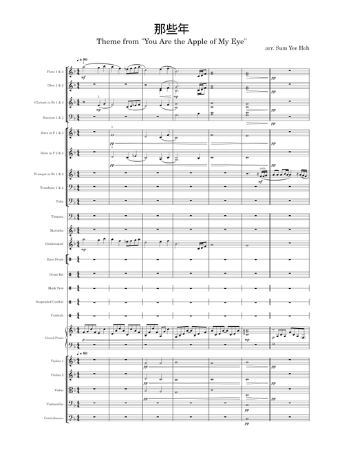 那些年 All Those Bygone Years – Hu Xia (胡夏) (Symphony Orchestra)