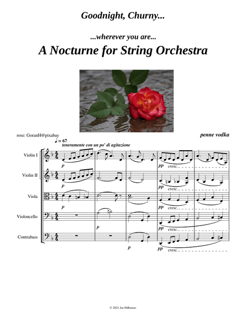 A Nocturne for String Orchestra