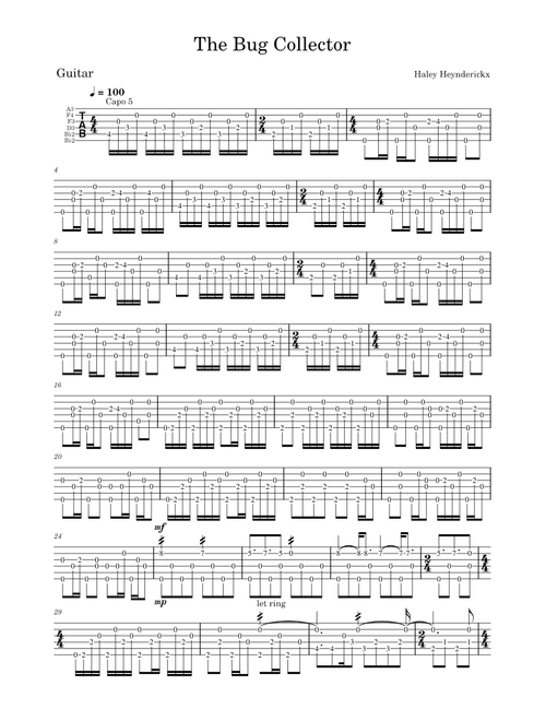 The Bug Collector - Haley Heynderickx (Guitar Tab)