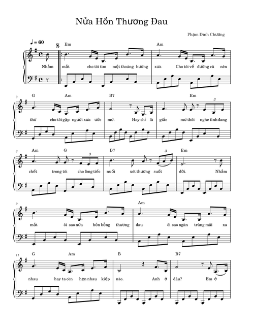 Nửa Hồn Thương Đau - Phạm Đình Chương