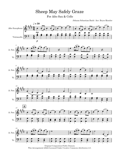 Sheep May Safely Graze, BWV 208 – Johann Sebastian Bach (For Alto Sax & Cello)