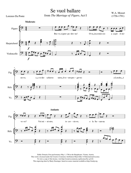 The Marriage of Figaro- Se vuol ballare