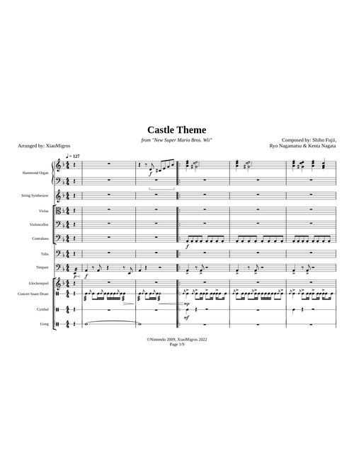 Castle Theme - New Super Mario Bros. Wii