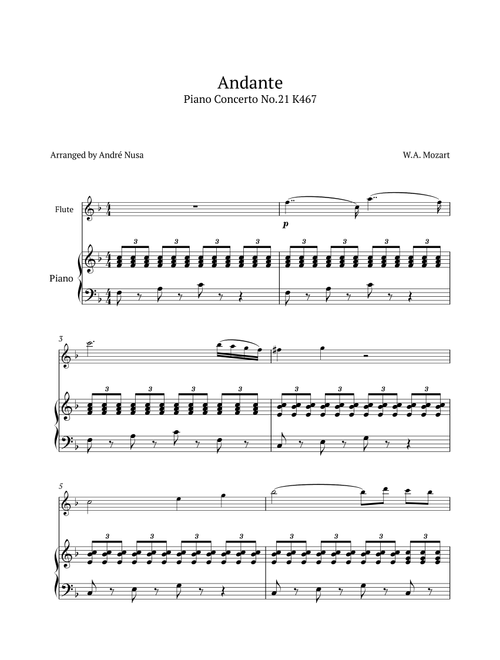 Piano Concerto No.21 Andante (Arr. André Nusa) - WA Mozart (Flute and Piano)