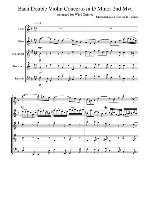 Bach Double Violin Concerto in D Minor 2nd Mvt