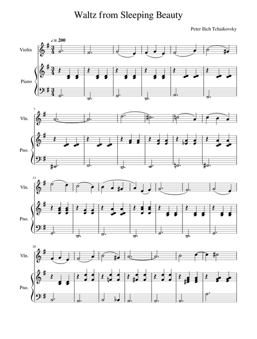Sleeping Beauty Waltz Duet