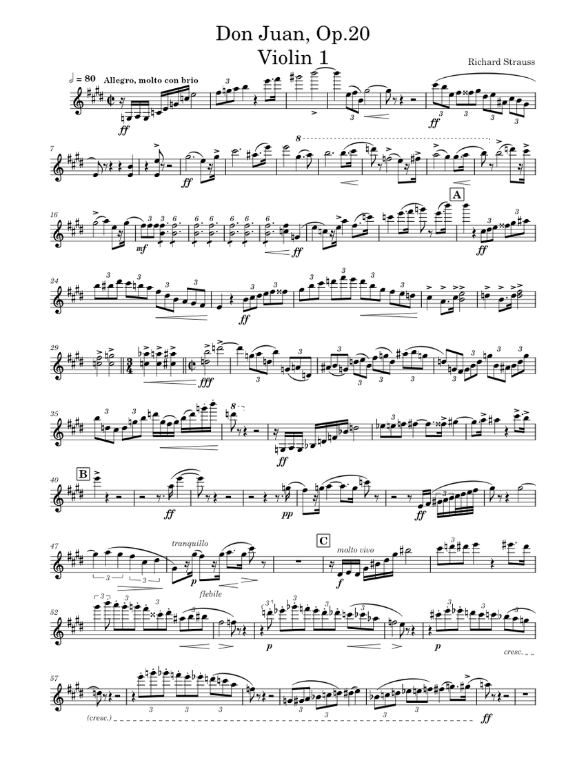 Don Juan, Op.20 - Allegro, molto con brio (Violin 1