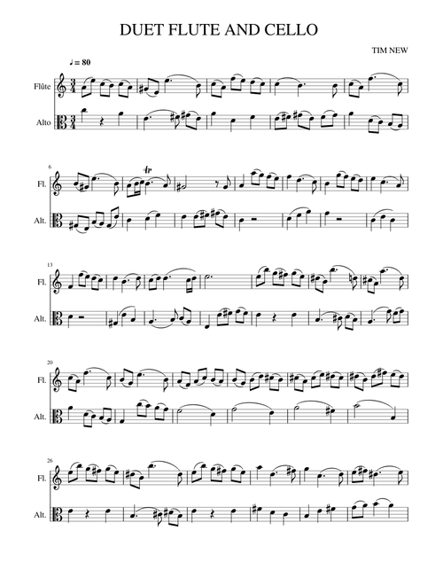 DUET FLUTE AND VIOLA