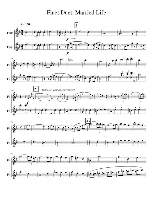 Married Life -Flute duet