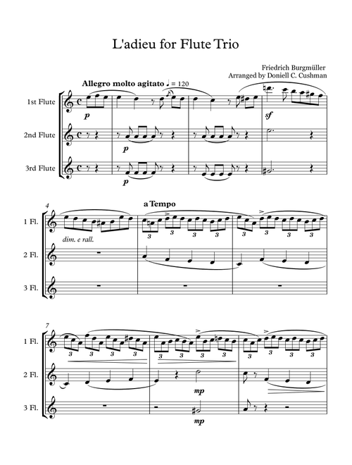 L'adieu - Flute Trio (Arr. Doniell Cushman) - Friedrich Burgmüller (Woodwind Ensemble)