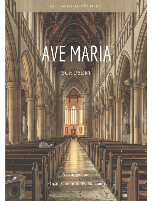 AVE MARIA - SCHUBERT - WIND TRIO (FLUTE, CLARINET & BASSOON) (Arr. Paulo Galvão Filho) (Woodwind Ensemble)