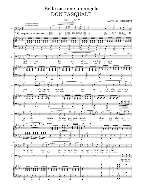 オペラ　ヴォーカルスコア　DON PASQUALE オペラ ヴォーカルスコア DON PASQUALE Amazon.co.jp: ドニゼッティ