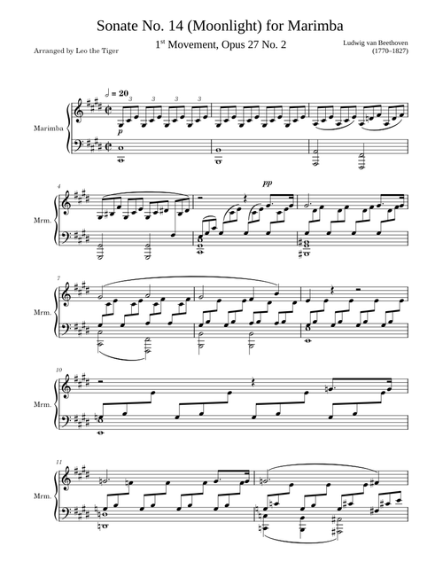 Marimba Solo: Moonlight Sonata (1st Movement) – Ludwig van Beethoven