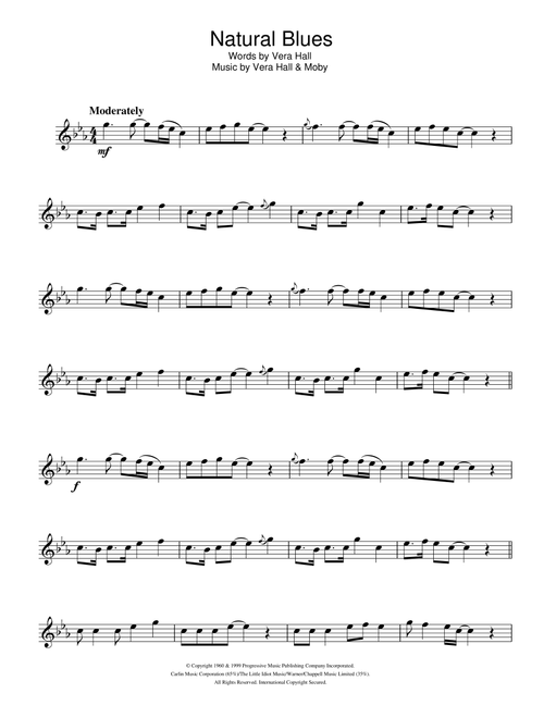 Natural Blues - Moby (Flute Solo)