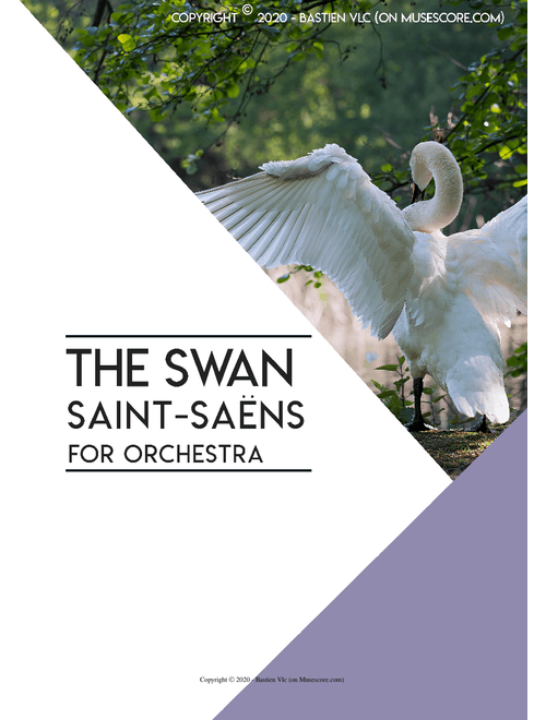 The Swan (Le Cygne) - Camille Saint-Saëns - Adaptation for orchestra by Bastien Vlc.