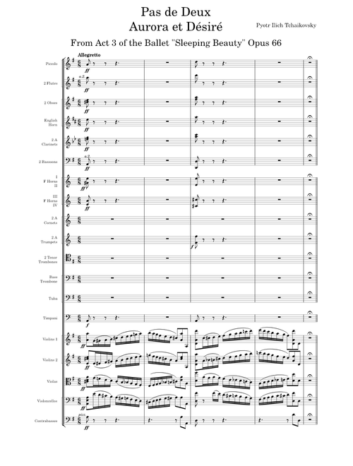 Sleeping Beauty Ballet Opus 66, Pas de Deux (Act 3) - Pyotr Ilich Tchaikovsky