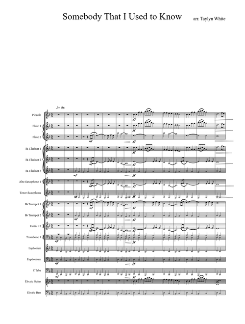 Somebody That I Used to Know (Standtune)