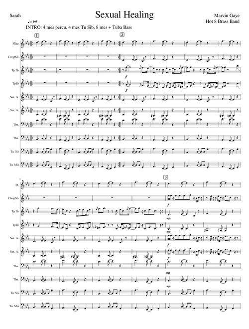 Sexual healing – Marvin Gaye Hot 8 Brassband