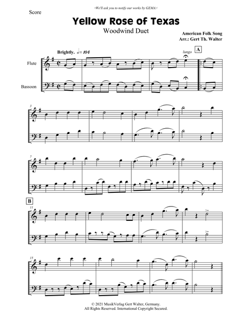 Yellow Rose of Texas (Arr. Gert Th. Walter) - American Folk Song (Instrumental Duet)