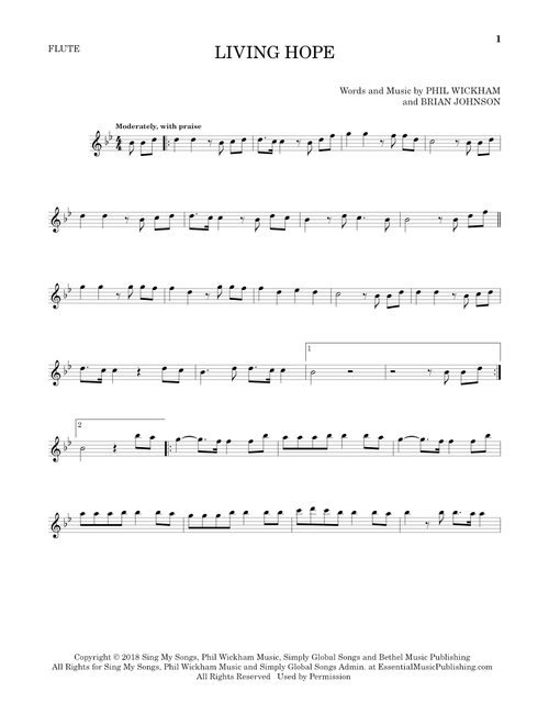 Living Hope - Phil Wickham (Flute Solo)
