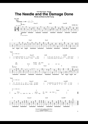 Neil Young Guitar Lesson Needle And The Damage Done Chords Alabama Tab