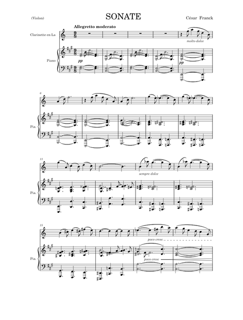 Sonate violon piano – César Franck