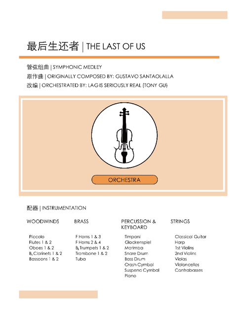 The Last Of Us - Symphonic Medley [A Tribute to Joel]