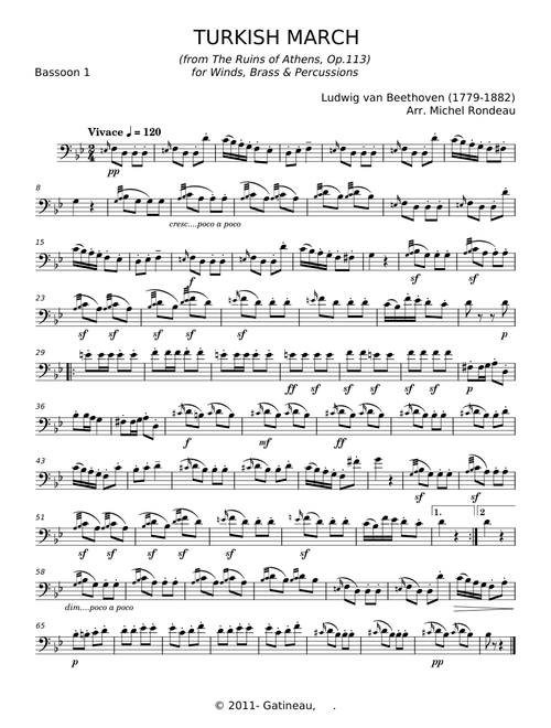 Turkish march - Ludwig van Beethoven