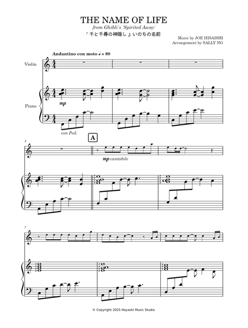 The Name of Life from 'Spirited Away' – Joe Hisaishi (violin & piano arr. SN)