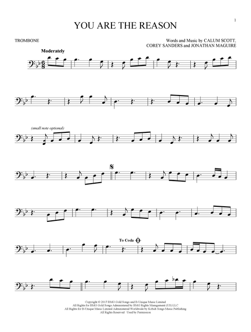 You Are The Reason - Calum Scott (Trombone Solo)