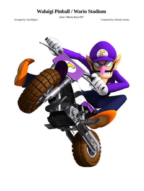 DS Waluigi Pinball but it's fully instrumentalised〖BIFI #18〗