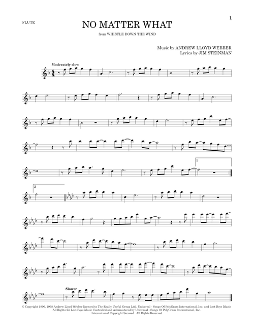 No Matter What - Boyzone (Flute Solo)