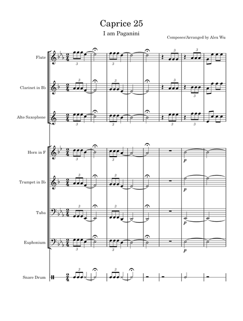 Cparice No.25